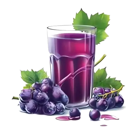 gyümölcslé- juice